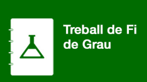 Treball Final de Grau